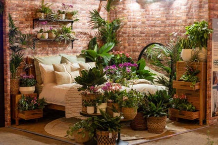 6 take home trends of the RHS Urban Show