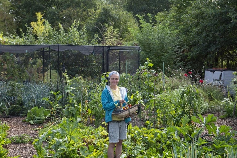 Read every edition of Liz Mooney's allotment life