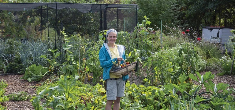 Liz’s Allotment Life: Taking stock after time away