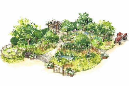 A watercolor drawing of a garden