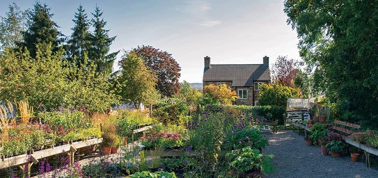 Great British growers: peat-free Cliff Bank Nursery