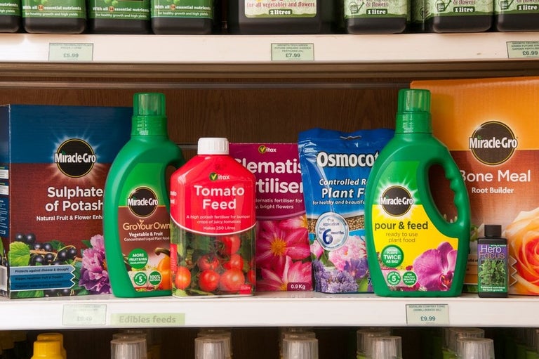 How plants absorb nutrients