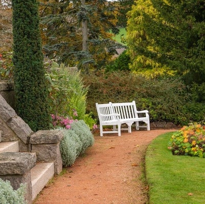 Pollution particles can be trapped by dense foliage