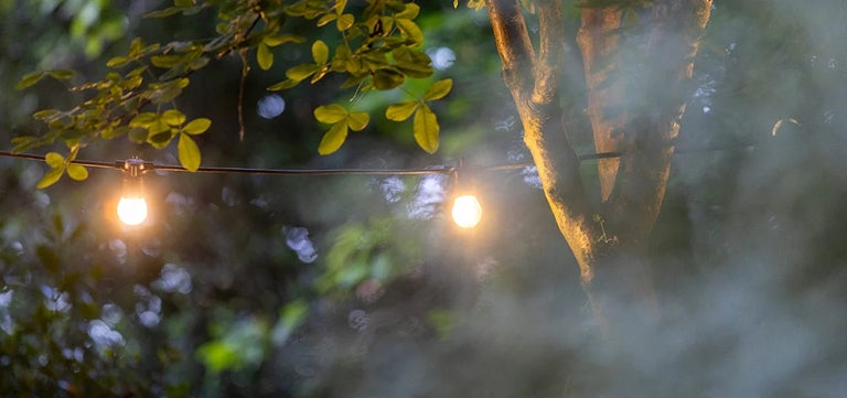 How to light your garden without disturbing wildlife