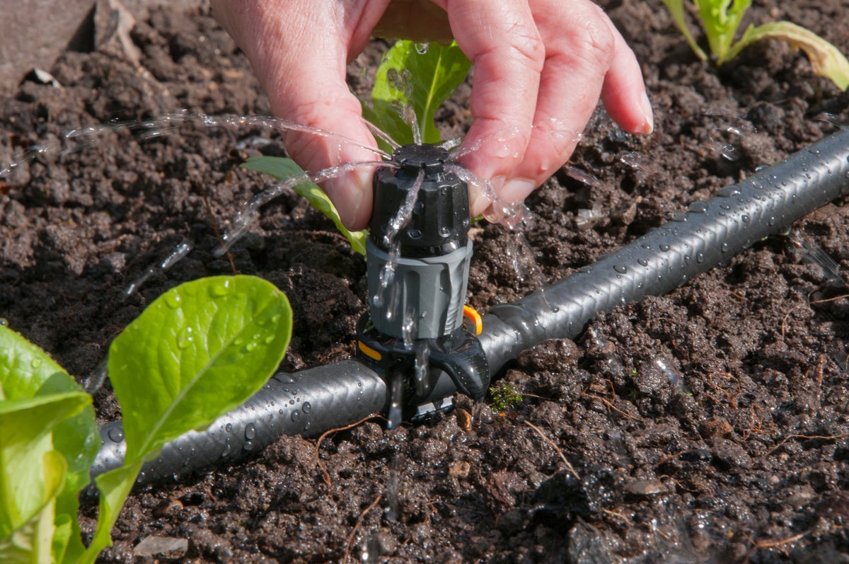 Garden watering methods | RHS Advice