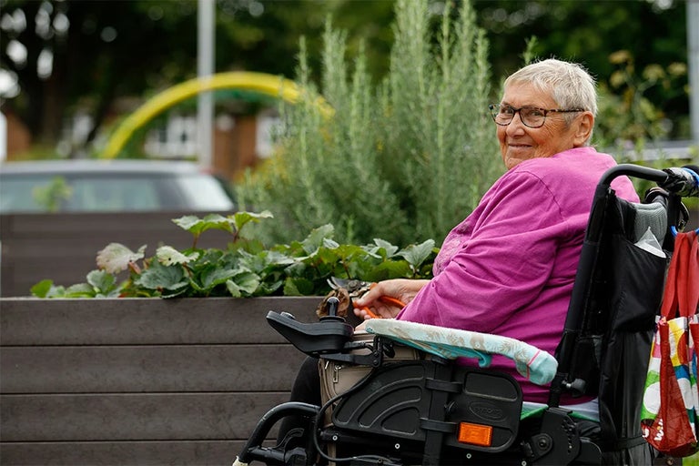 Creating a wellbeing garden for a organisation