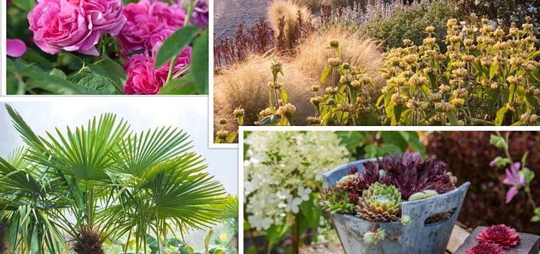 Gathering inspiration for your garden