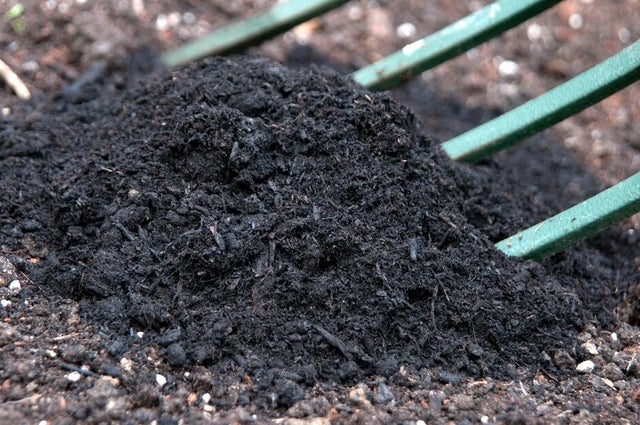 Care for your soil