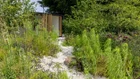 Thumbnail for slide 1
