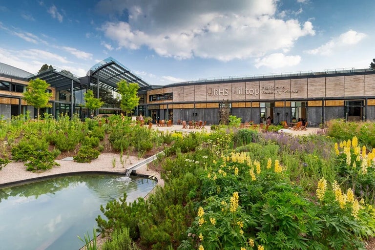 The Wellbeing Garden at RHS Wisley