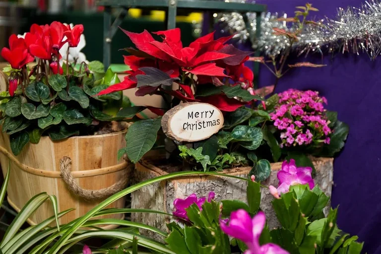 Deck the Halls – festive ideas for inside and out at Christmas