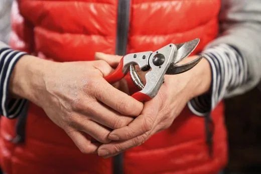 Felco