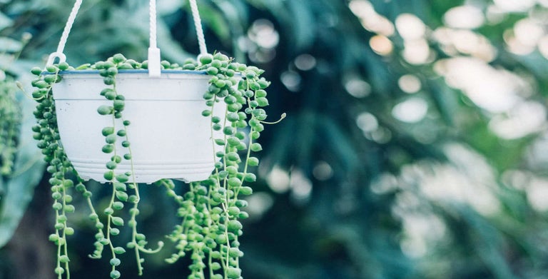 String of beads