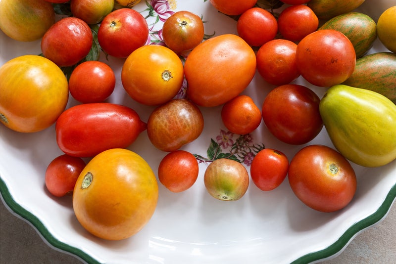A plate of different colored tomatoes