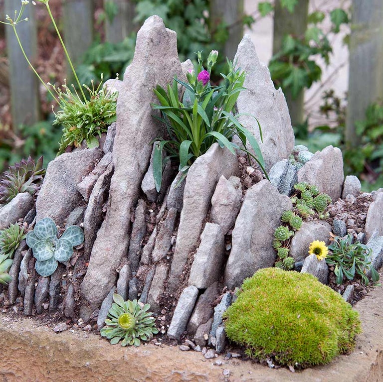 Sink and trough gardening