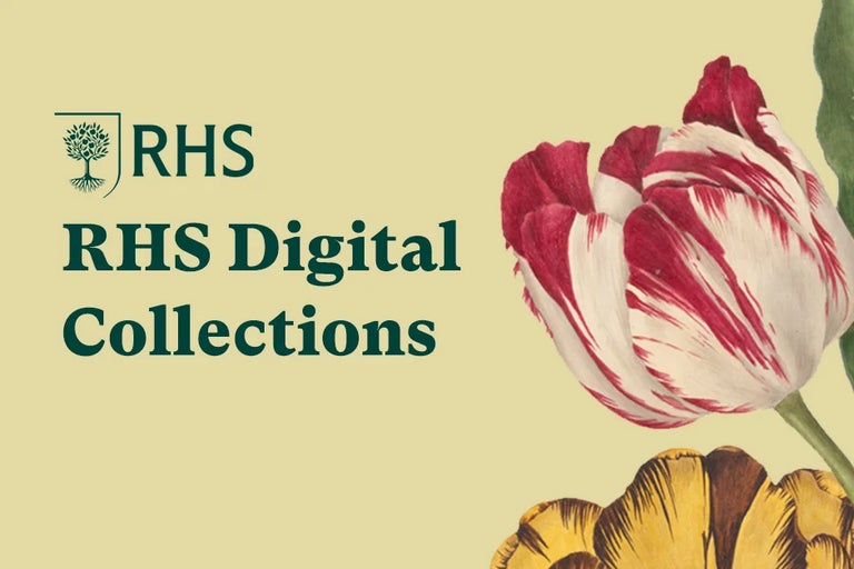 Digital Collections
