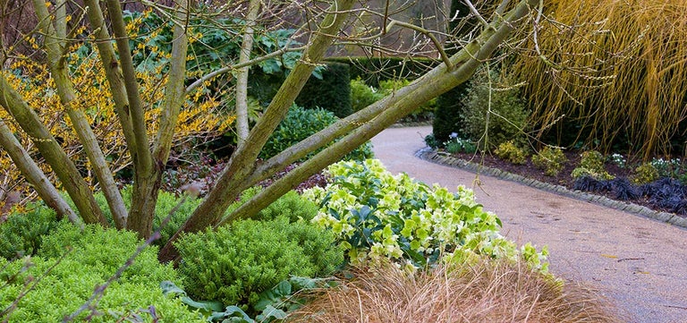 Keep your garden looking great all year