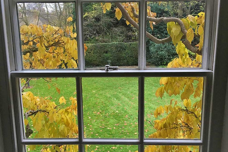 Take in the view