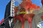 Thumbnail for slide 5