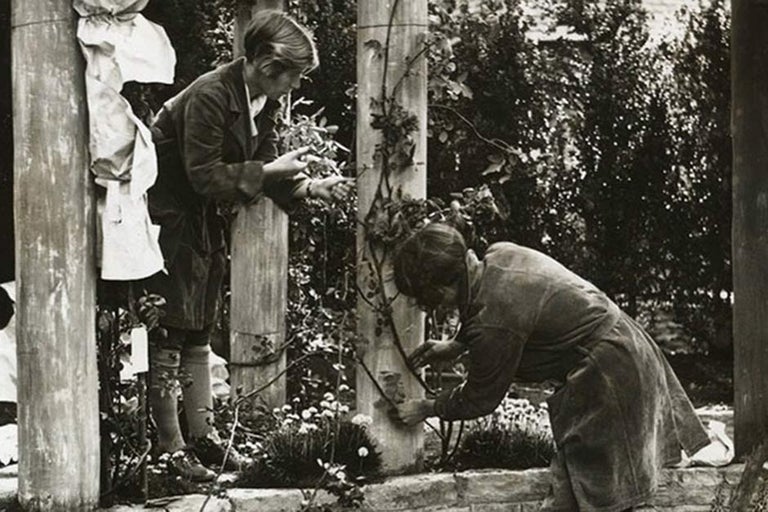 RHS celebrates women in horticulture