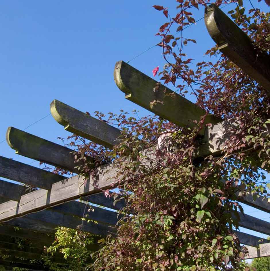 Pergola