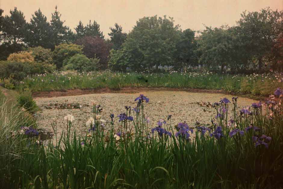 Robinson and RHS Wisley