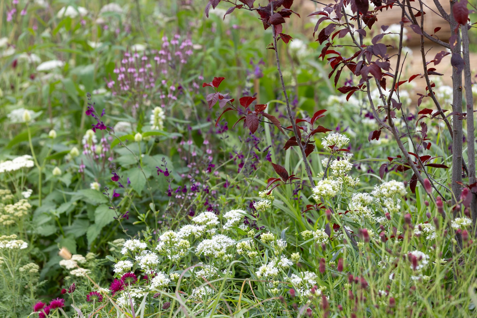 The RHS Crafted from Nature Garden