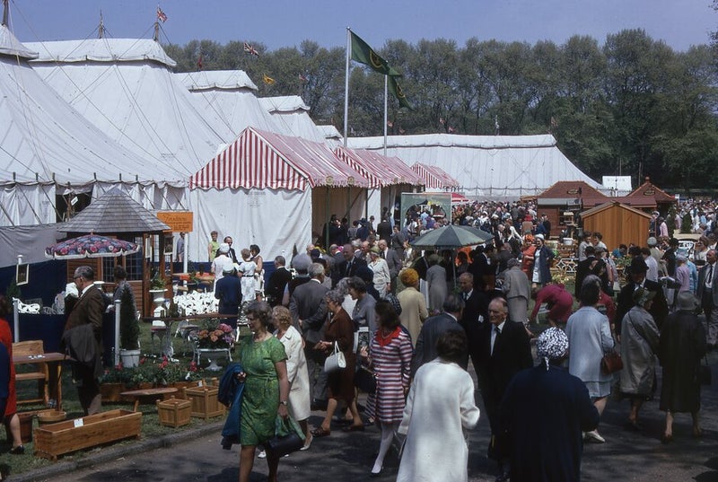 A crowd of people walking in a street