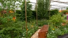 Thumbnail for slide 2