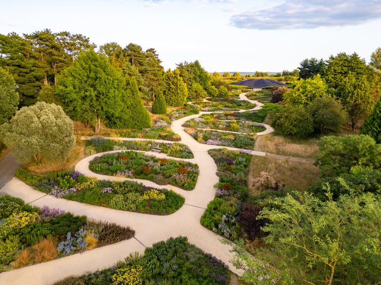 Looking ahead: The RHS in 2026 and beyond