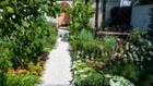 Thumbnail for slide 2