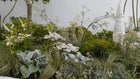 Thumbnail for slide 4