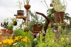 Thumbnail: Nene Nursery