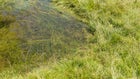 Thumbnail for slide 6