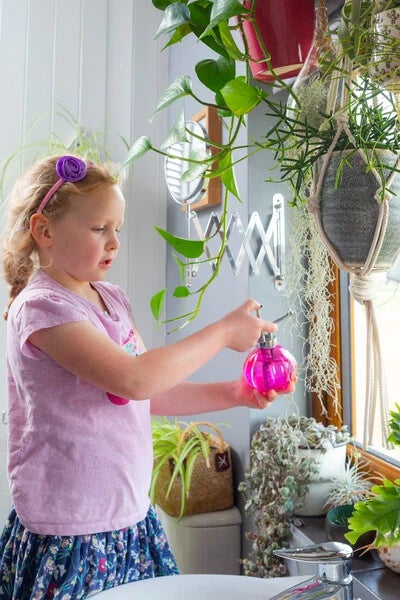 Humidity for houseplants