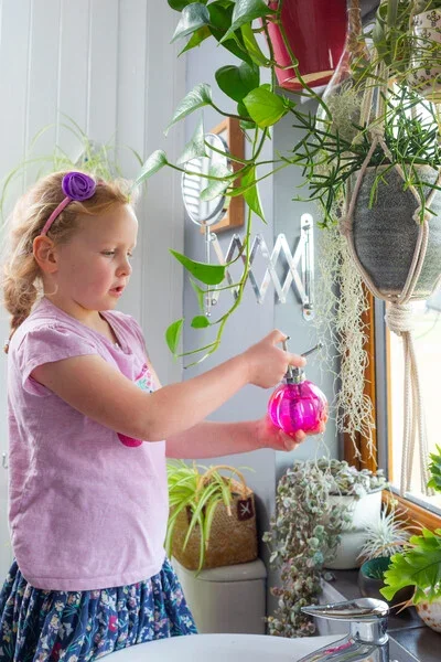 Humidity for houseplants