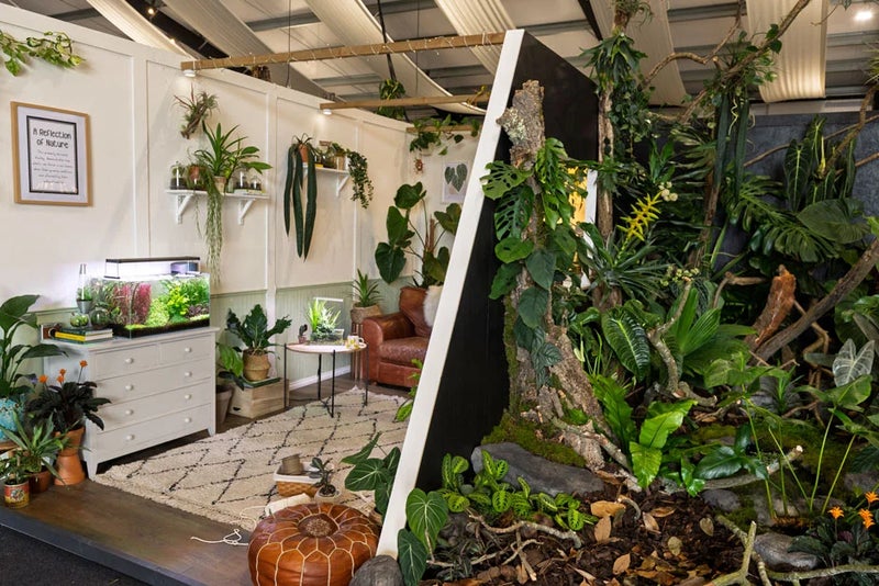 A Reflection of Nature by GrowTropicals, Claire Lowrie and Ben Newell