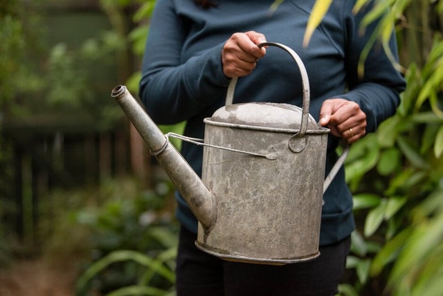 10 ways to be more sustainable in your garden