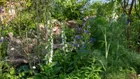 Thumbnail for slide 5