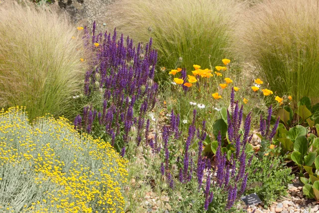 A group of flowers and plants