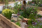 Thumbnail: Tough as Old Boots Garden