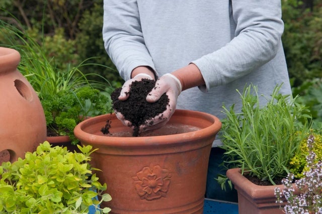 Container gardening