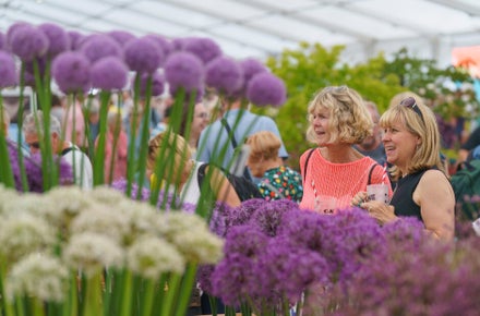 A group of women in a garden