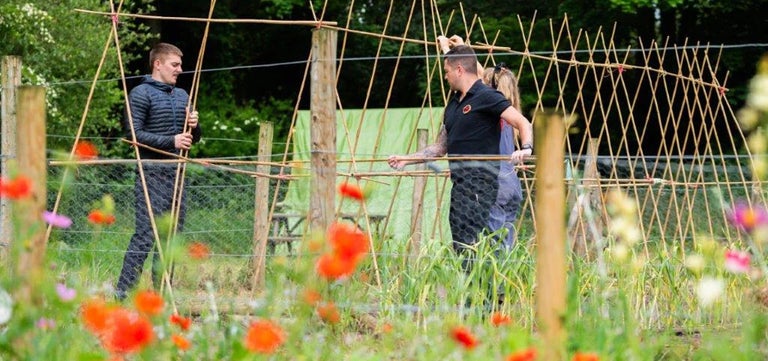 Supporting military veterans through horticultural therapy