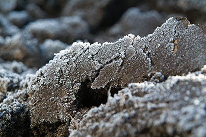 Severe frost
