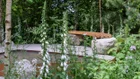 Thumbnail for slide 3