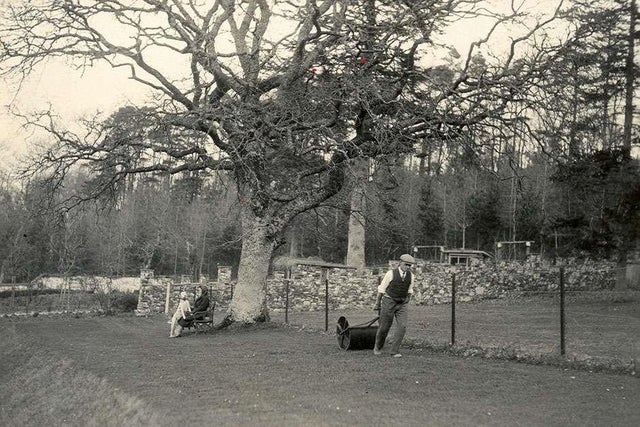 Find out about the history of RHS Garden Rosemoor