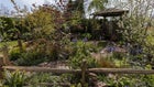 Thumbnail for slide 1