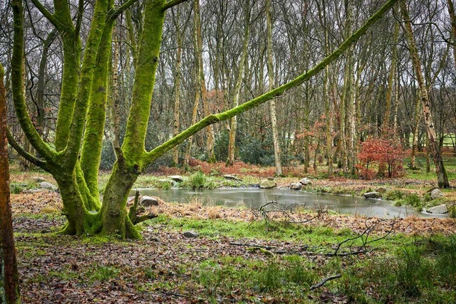 Swales created at RHS Gardens