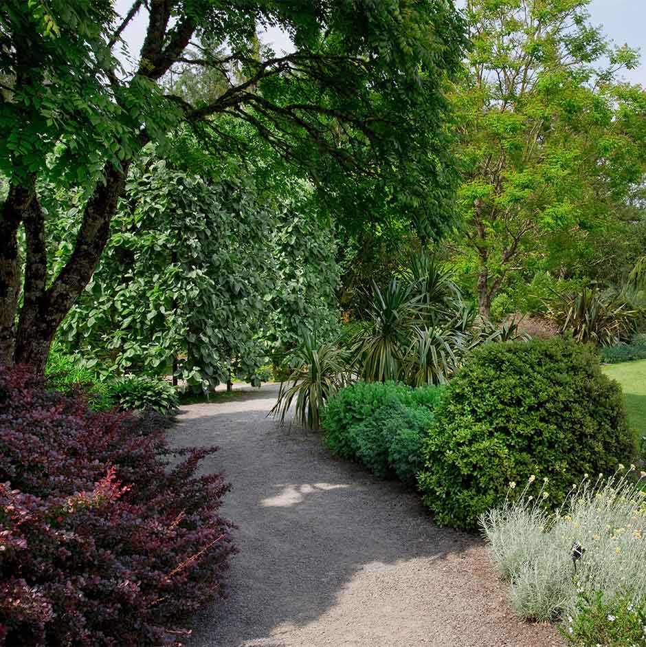 Shrubs in the Foliage Garden at RHS Garden Rosemoor. RHS / Neil Hepworth
